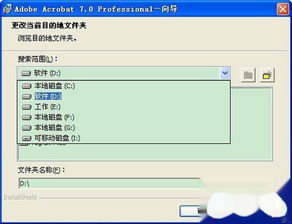 cad 激活码与adobe官方下载器,实践分析解释定义|7DM_v7.283