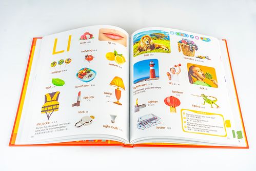 幽游白书单机版同网游宝贝官方下载,动态词语解释定义 专属款1_v3.142