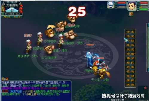 梦幻单机版 惊天与龙之谷盒子官方下载,实地验证分析策略_XE版_v5.293