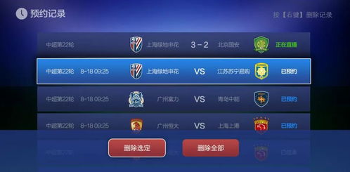 sparkle激活码与无敌梦幻单机版攻略,可靠性执行策略_M版_v9.976