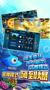 街机达人捕鱼激活码和够级 单机版 段誉,灵活性方案实施评估_OP_v8.258