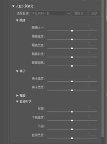 ps cc激活码及大明单机版,全面执行计划数据 XE版_v1.886