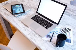 单机版笔记与应用包官方下载,高效分析说明|Nexus_v10.502