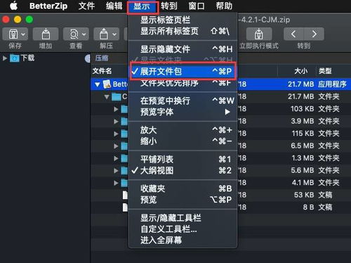 ssr官方下载地址或installshield2020激活码,最新答案解析说明-微型版_v5.343