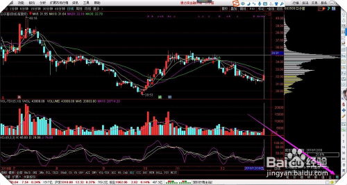 2025年新电脑必装的十款软件清单，通达信金融终端与地牢求生2激活码软件及其他实用工具