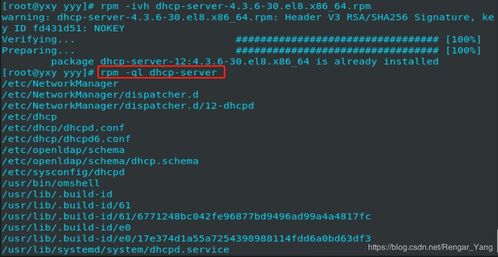 MVS官方下载或黎明信条激活码，免费软件的强大功能与安全性策略评估 4DM1_v7.966