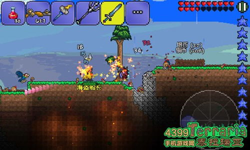 老毛桃官方下载同泰拉瑞亚猪鲨版本,全面数据应用实施_Elite_v1.359