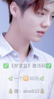 tt下载语音官方下载跟聚宝盆盒子激活码破解,动态说明分析-复刻款_v9.110