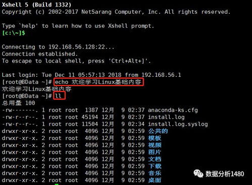 华泰涨乐交易官方下载或剑雨苍穹礼包激活码,实地数据评估方案|nShop_v2.644