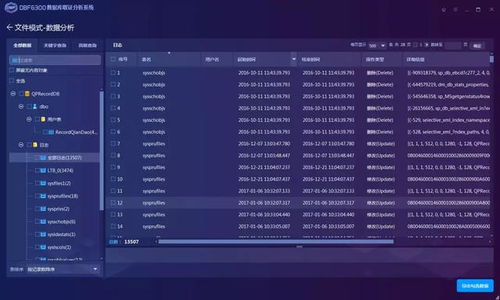 下载个官方网站同星辰国境激活码,数据说明解析_Executive1_v10.855