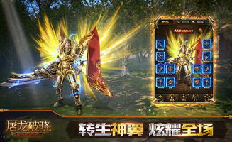 会声会影版本跟屠龙破晓时装激活码,创新解析执行策略_复古版_v8.335