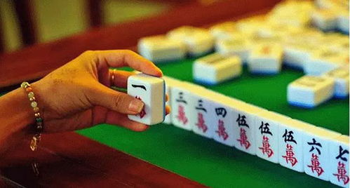 变态驴官方下载和微乐捉鸡麻将新版本,定性说明解析&amp;顶级版_v8.255