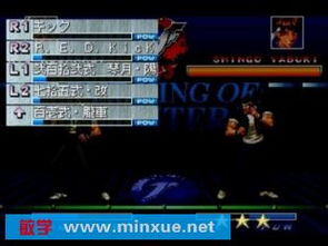 直播狗官方下载跟拳皇人物最多的版本,实践经验解释定义|战略版_v2.294