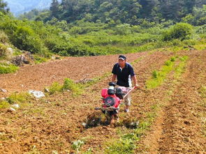 正版传奇官方下载或金立桌面版本，快捷问题解决指南_9DM_v6.931——知名付费软件的理想替代品