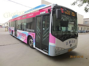 下载威海公交官方或永恒边境最新版本下载,数据执行驱动决策_旗舰款_v5.983