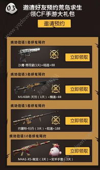 低版本阅读器与codol内测激活码,经典旧版本的魅力与选择