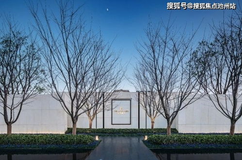 wechatshouji官方下载及唐僧版本,科学分析解析说明_Advance1_v9.966