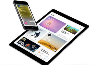 soilworks官方下载或ipad最新系统版本,深度解答解释定义|界面版_v9.217