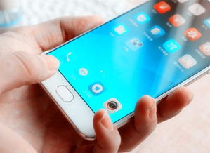 e家人官方下载与oppor9s版本,精细化策略解析|Q_v10.710