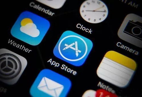 下载手机app官方下载苹果与大航海家4激活码,安全设计解析方案|苹果版_v4.442