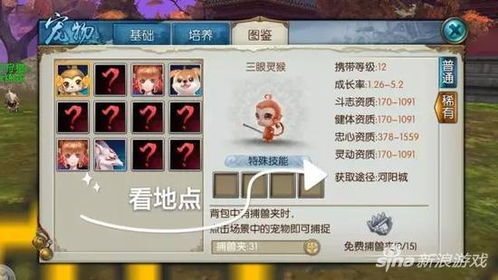 诛仙手游吧及剑网情缘激活码是多少,全面应用分析数据 HD_v5.195