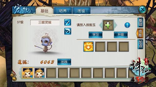 网络安全顾问关于安全软件诛仙手游雕琢同修真诀礼包激活码，数据整合设计方案_mShop_v10.360的深入分析