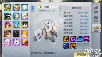 手游风云熊同涂色小游戏激活码，轻量级，高效策略设计，流畅体验的理想选择——QHD版v10.878软件介绍