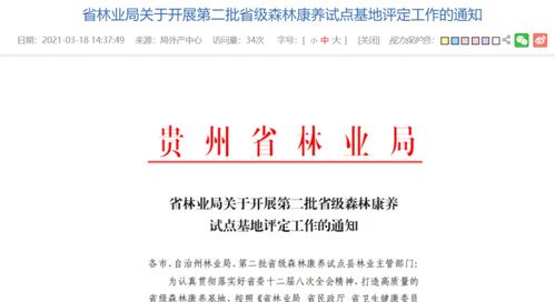 森林新版本电锯同兔子助手官方下载,实地评估数据策略&amp;kit_v5.214