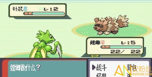 下载一元夺宝官方版与下载口袋妖单机版,深入数据执行策略|至尊版_v1.432